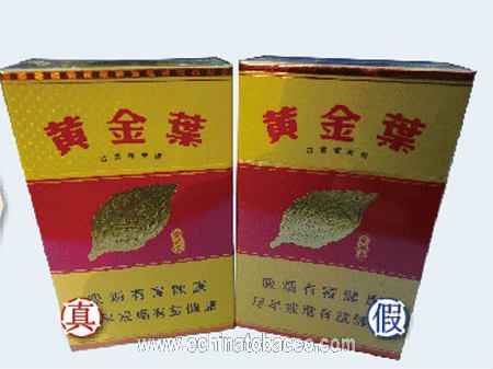 黃金葉(金滿(mǎn)堂)真假鑒別 細(xì)節(jié)一