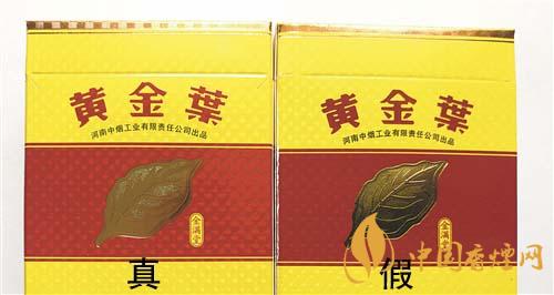 如何辨別黃金葉金滿(mǎn)堂真假？2020黃金葉真假辨別詳情對(duì)比