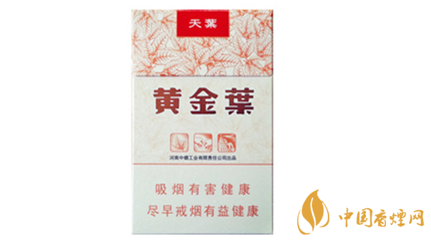 黃金葉天葉真?zhèn)卧趺幢鎰e？天葉真假如何看？