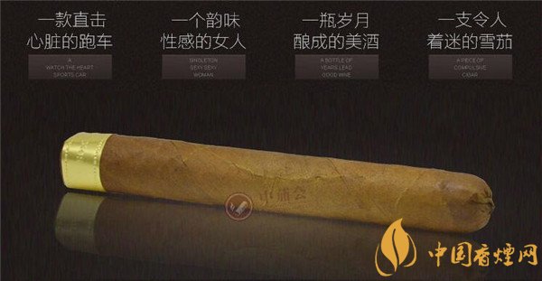 大衛(wèi)杜夫雪茄(金裝美味)價(jià)格表圖 大衛(wèi)杜夫金裝美味多少錢