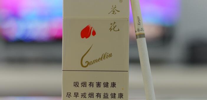 白盒茶花煙多少錢(qián)一包 茶花煙價(jià)格表和圖片