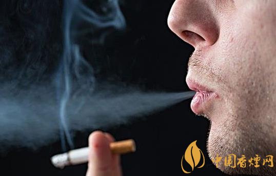 怎么快速去除室內(nèi)的煙味只需要做好這三步！