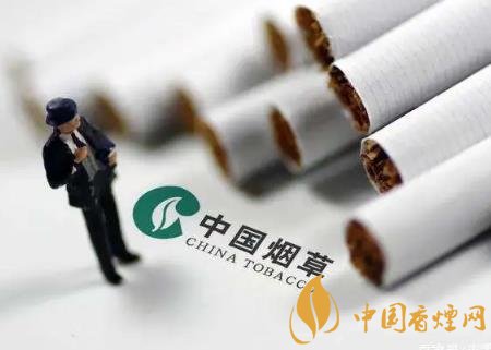 2020將通過提稅和漲價(jià)來控?zé)?維護(hù)公共場所健康！